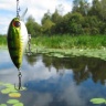 background-5.jpg